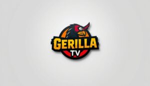 Gerilla TV